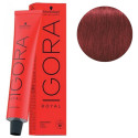 Coloration Igora Royal 6-88 blond foncé rouge extra Schwarzkopf 60ML