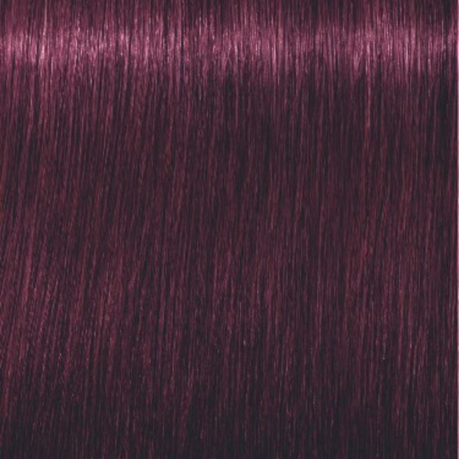Igora Royal 6-99 Rubio oscuro púrpura adicional 60 ML