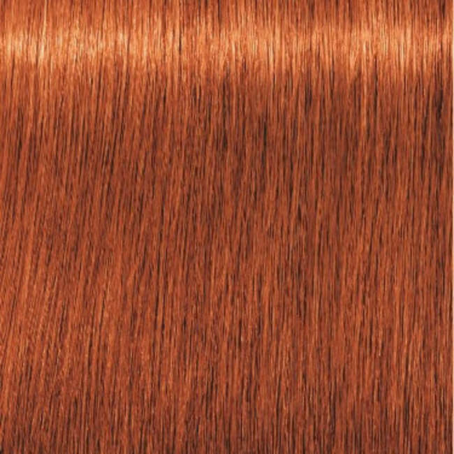 Igora Royal 7-77 Koperblond Intens 60 ML