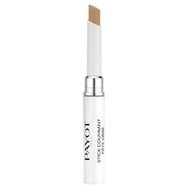 Stick lips covering Pâte Grise Payot 1.6g