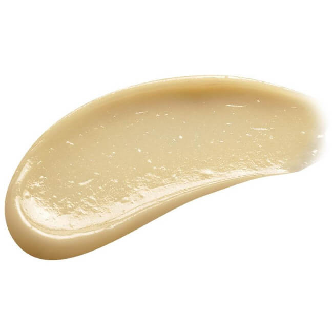 Baume labial Nutricia Cocoon Payot 6g