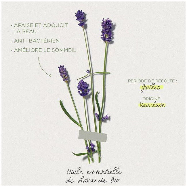 Crema universal de lavanda Herbier Payot 50ML