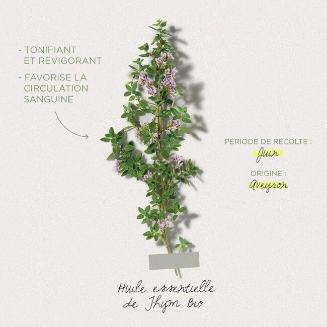 Huile corps thym Herbier Payot 95ML

Translation: Body oil thyme Herbier Payot 95ML