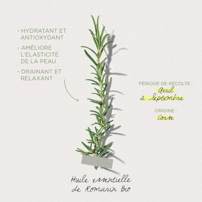 Barra de massagem de alecrim Herbier Payot 50g