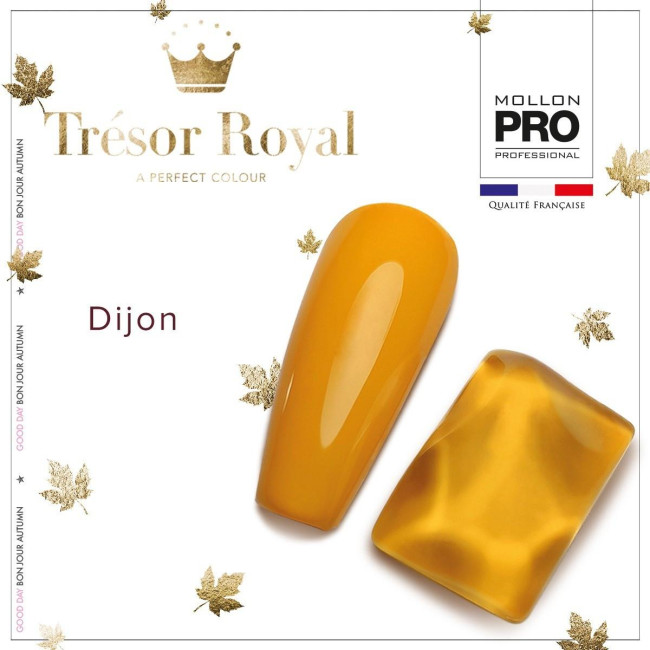 Mini semi-permanent nail polish Hybrid Shine n°354 Dijon Tresor Royal Mollon Pro 8ML