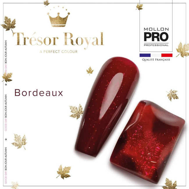 Mini vernis semi-permanent Hybrid Shine n°357 Bordeaux Tresor Royal Mollon Pro 8ML