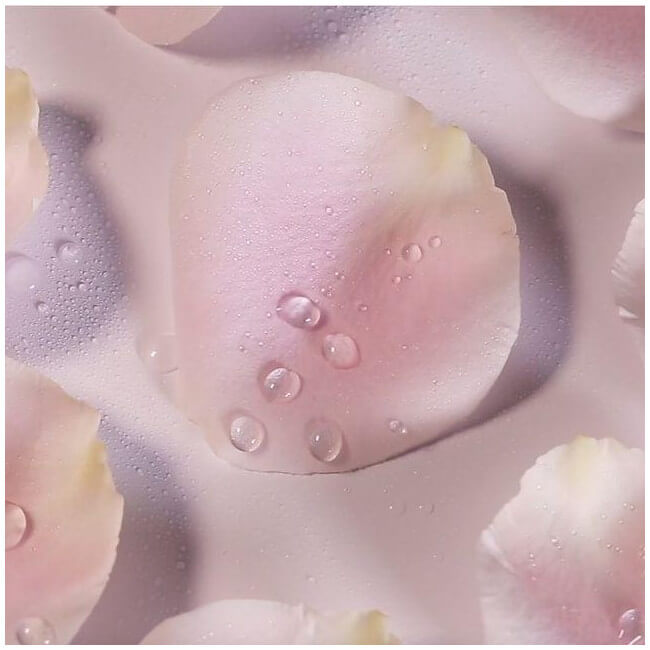 Crème de dia Roselift colágeno Payot 50ML