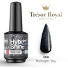 Mini vernis semi-permanent Hybrid Shine Tresor Royal Mollon Pro