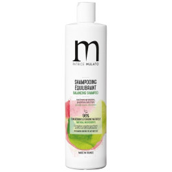 Shampooing équilibrant rgps Flow air Patrice Mulato 500ML