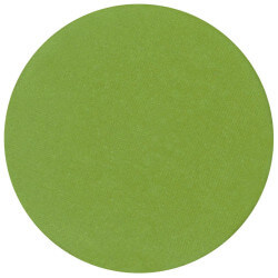 Matte light green eyeshadow from Parisax Professional.