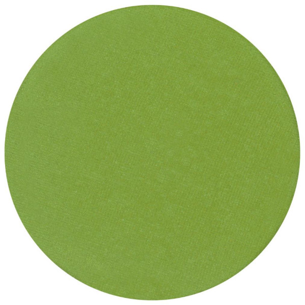 Ombretto opaco verde chiaro Parisax Professional