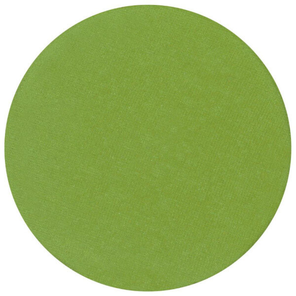 Matte light green eyeshadow from Parisax Professional.