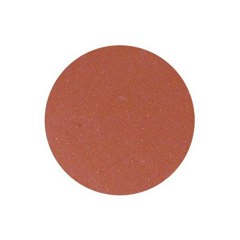 Sombra de olhos opaca em terra de Siena da Parisax Professional
