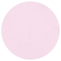 Fard à paupière mat rose pastel Parisax Professional