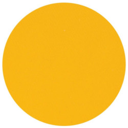 Matte yellow eyeshadow by Parisax Professional