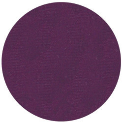 Matte oogschaduw in glanzend paars van Parisax Professional.