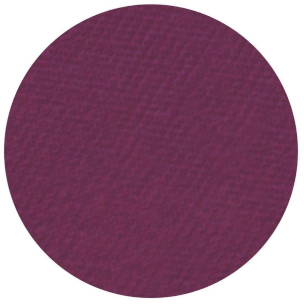 Matte eyeshadow in cassis by Parisax Professional