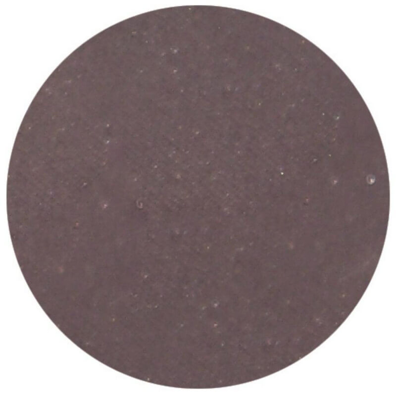 Matte lichtgrijze oogschaduw van Parisax Professional