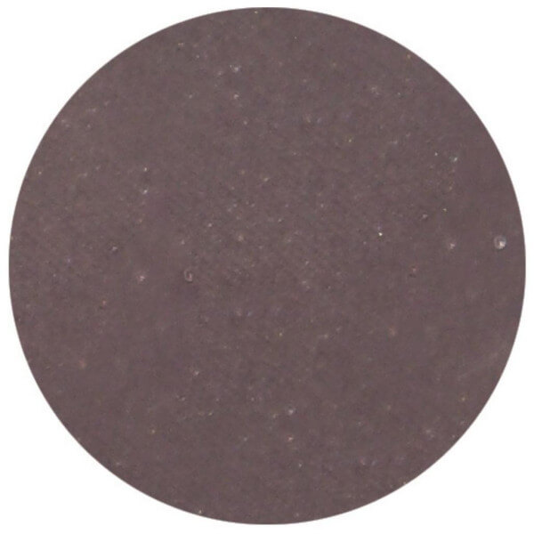 Matte lichtgrijze oogschaduw van Parisax Professional