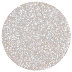 Iridescent eyeshadow in sepia by Parisax Professional.