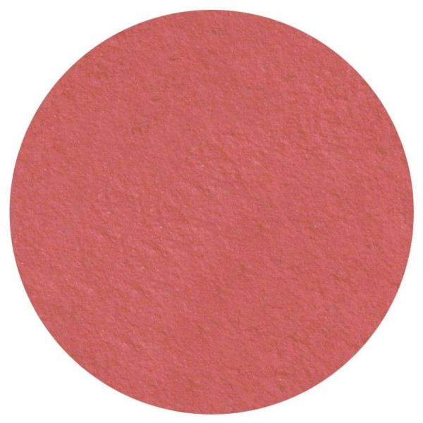 Matte eyeshadow in Californian pink by Parisax Professional