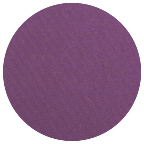 Fard à paupière violet clair Parisax Professional