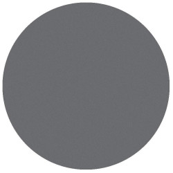 Fard à paupière mat gris clair Parisax Professional