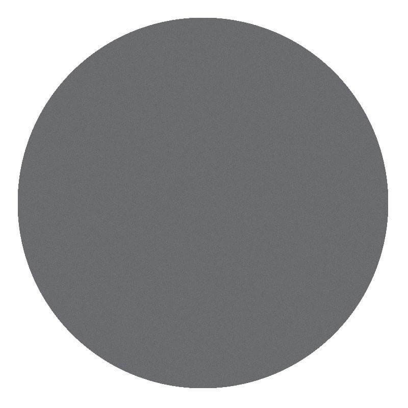 Matte lichtgrijze oogschaduw van Parisax Professional