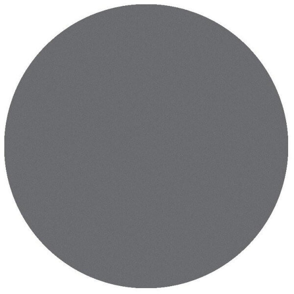 Fard à paupière mat gris clair Parisax Professional