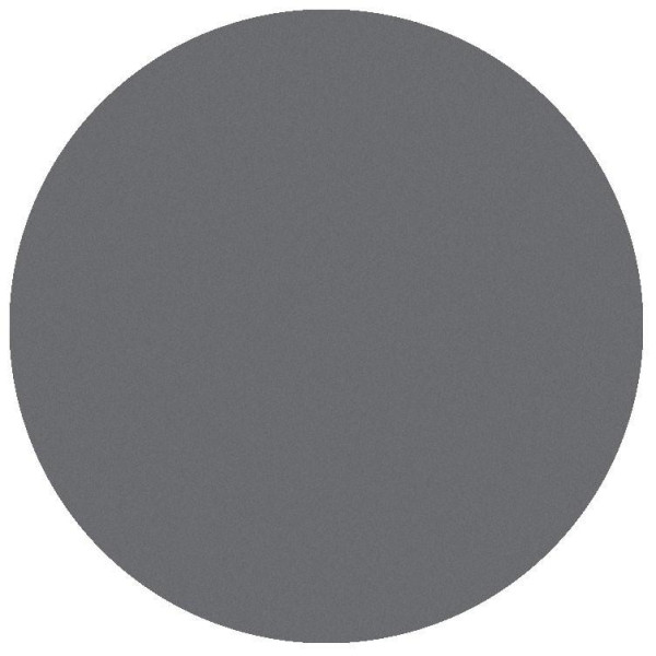 Matte light gray eyeshadow from Parisax Professional
