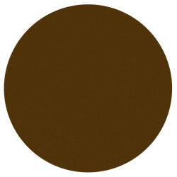 Fard à paupière irisé beige Parisax Professional