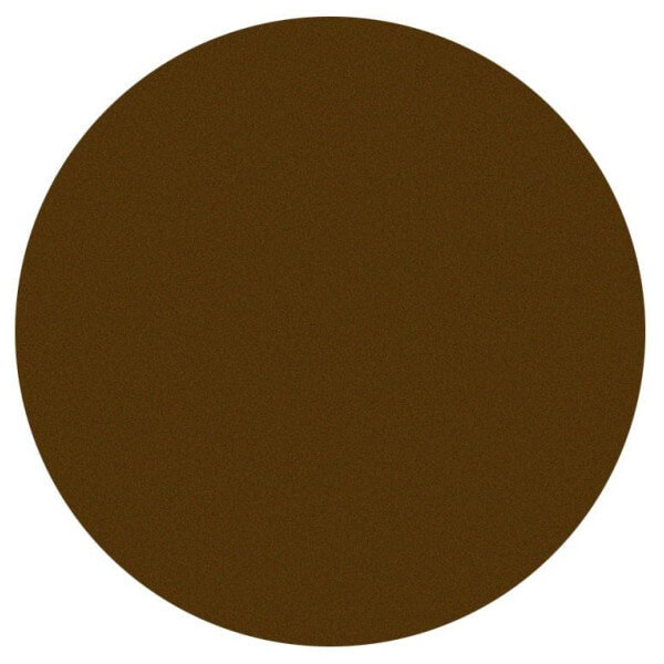 Fard à paupière irisé beige Parisax Professional