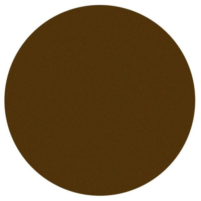 Fard à paupière mat chocolat Parisax Professional