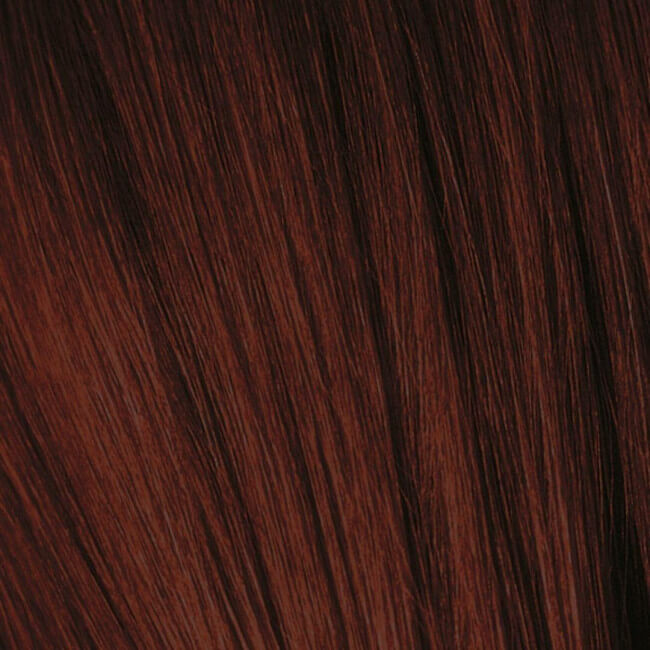 Coloración Essensity 4-88 Schwarzkopf 60ML