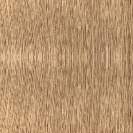 XpressColor 8.03 Light Natural Golden Blonde 60ML by INDOLA