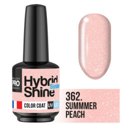 Mini vernis semi-permanent Hybrid Shine Fleur de beauté Mollon Pro 8ML