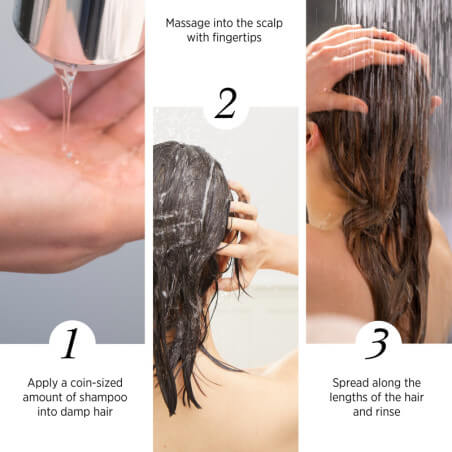 Derma Balance routine with System Professional lotion with FREE shampoo