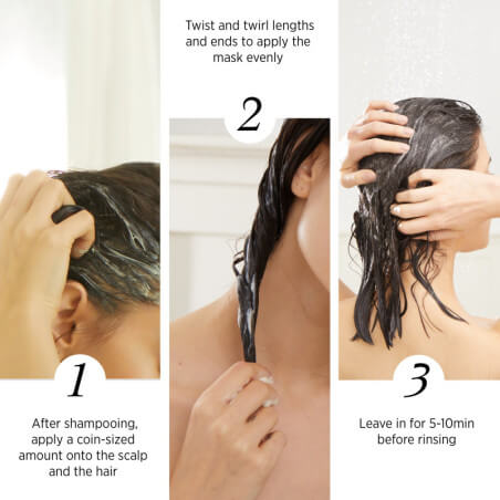Derma Balance routine with System Professional serum with FREE shampoo