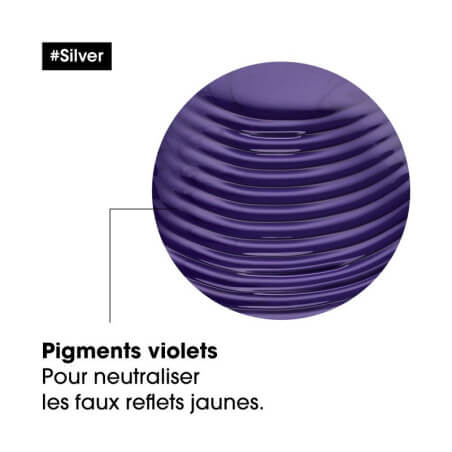 Champô Silver L'Oréal Professionnel 300ML
