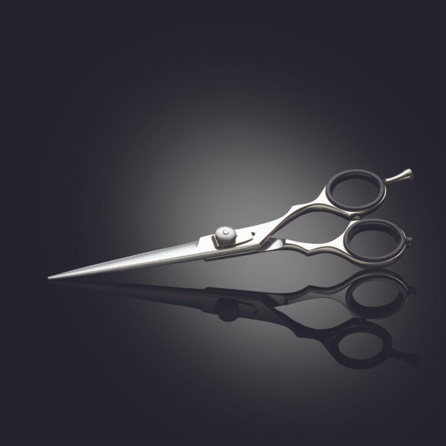 Iwasaki Executive Silver Fuji cutting scissors 5"