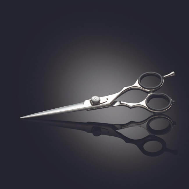 Tesoura de corte Iwasaki executive silver fuji 5"