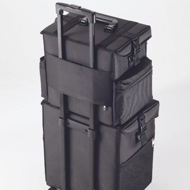 Semi-rigid compartmentalized bag Organizer Pro