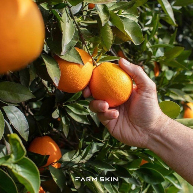 Maschera arancione rinfrescante per la pelle di Fresh Food Farm