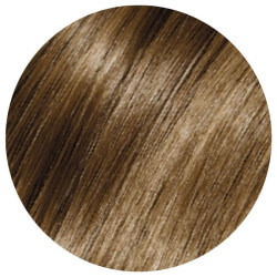 Generieke Oxidatie Haarkleuring BBHair Plex 100 ML (Op nummer)