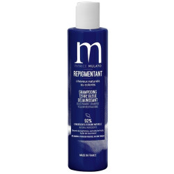 Shampooing neutralisant Terre bleue Patrice Mulato 200ML