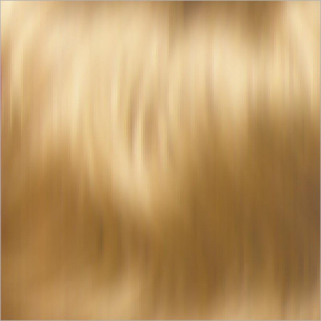 Balmain Extension Hair Dress Blond 40 CM Level 10