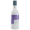 Shampooing Polar Toxx 300ml