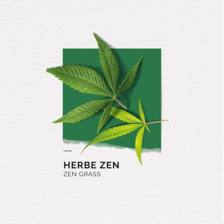 Eau de parfum Herbe Zen Solinotes 50ML