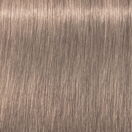 Coloration Igora Royal 6-12 blond foncé cendré plus Schwarzkopf 60ML