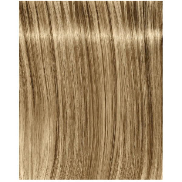 Igora Royal Fashion Light - Todas as Tonas Igora Royal Fashion Light - Todas as Tonas